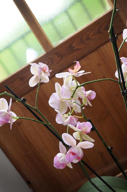 Bed and Breakfast Les Songes De L'Abbaye Cadouin Номер фото